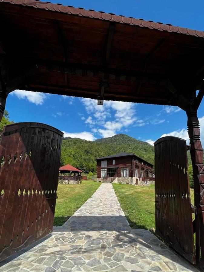 Pensiunea Roxana Valea Viseului Экстерьер фото